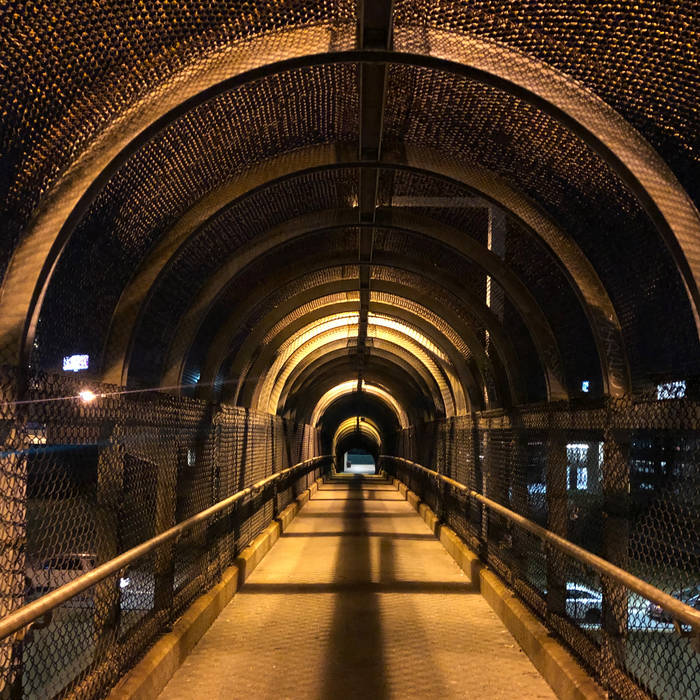 The End of Wishing for Numbered Days — CD